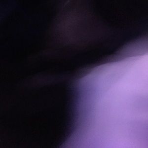 Meet your Posher, Brie